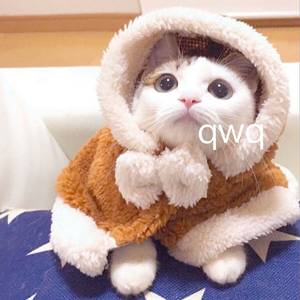 张瑞雪图片 比基尼
